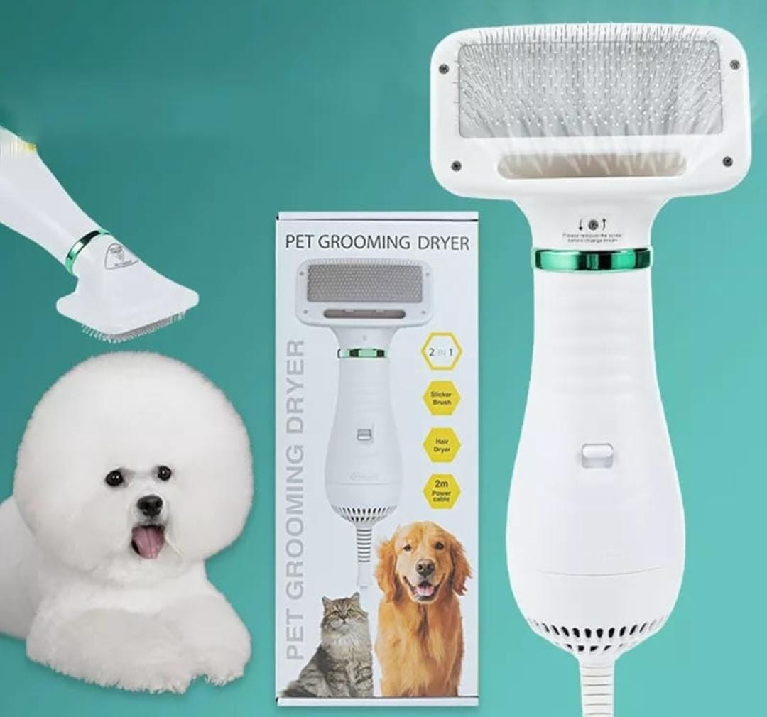 Cepillo y Secador de pelo 2 en 1 para Ma